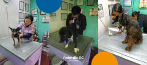 Free Medical Consultations