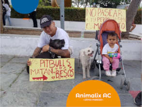 Animal Rights Movement