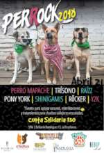 Concert in support of animals