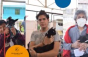Help stop animal suffering in Chiapas, Mexico