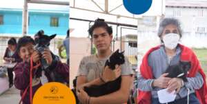 Help stop animal suffering in Chiapas, Mexico