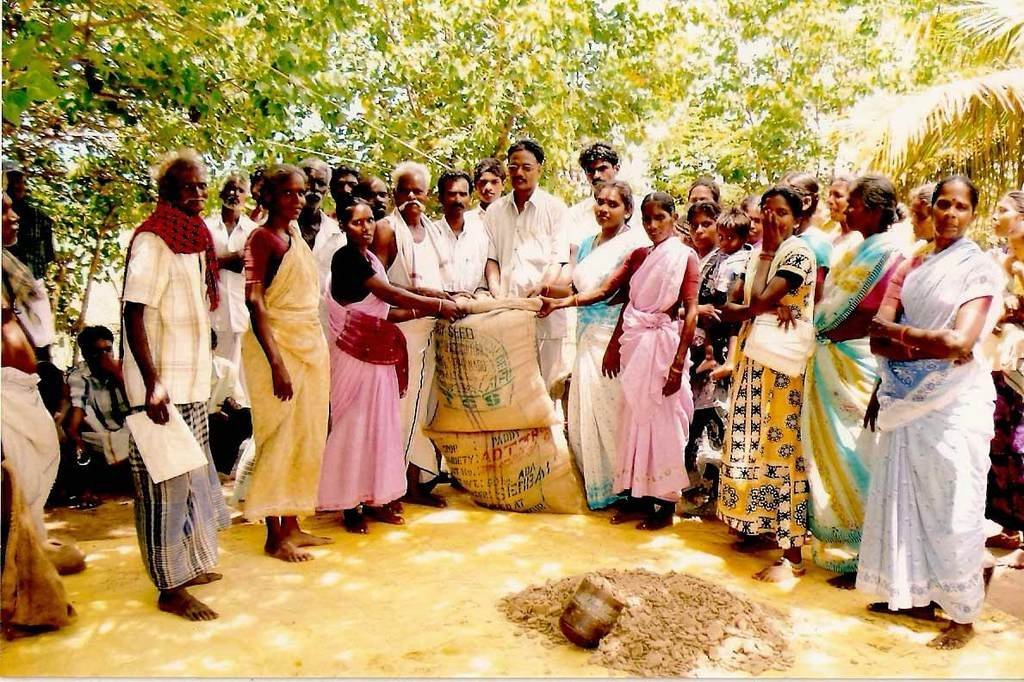 Livelihood of 500 Poor Dalit women headed families