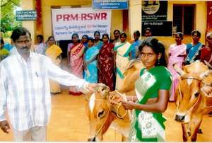 IGP Programme