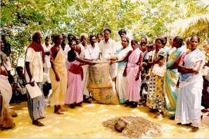 Distribution of Seeds