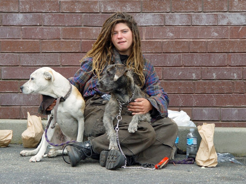Provide 150 Safe Nights to Young Homeless in Herts