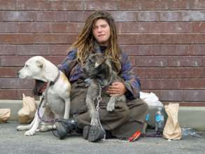Provide 150 Safe Nights to Young Homeless in Herts