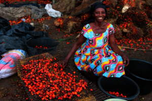 Sarah, leader of the Juaben Palm Oil Processors