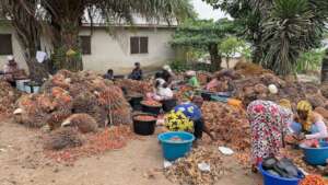 Women in Juaben Municipality producing palm oil.