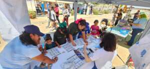 Environmental education module at Oyster Festival