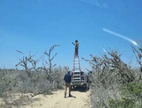 Team taking landscape photos for archive