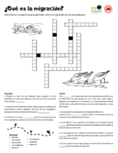 Shorebird migration crossword puzzle.