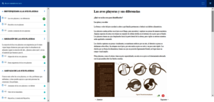 Example of lesson content page.
