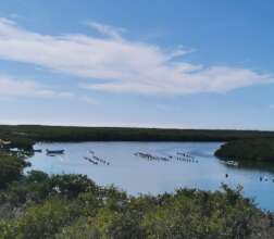 Oyster farming camp in La Poza.