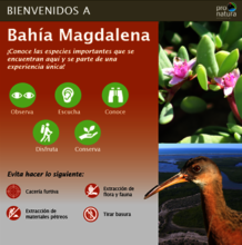 Preliminary design of signs for Bahia Magdalena.