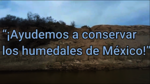 Screenshot from World Wetlands Day video.