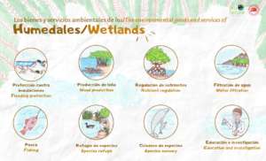 Example of activity sheet shared with students.