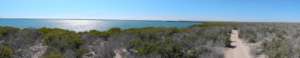 360 degree photograph of the site.