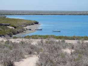 Mangrove, sarcocaule scrub and fishermen.