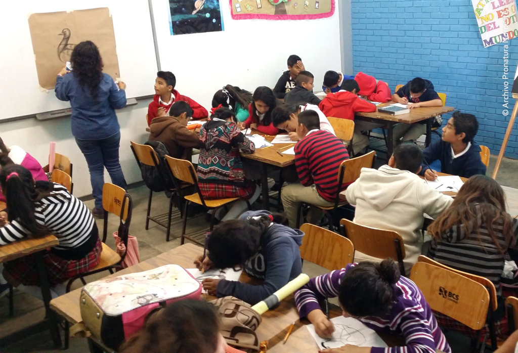 Create 50 guardians for Bahia Magdalena mangrove