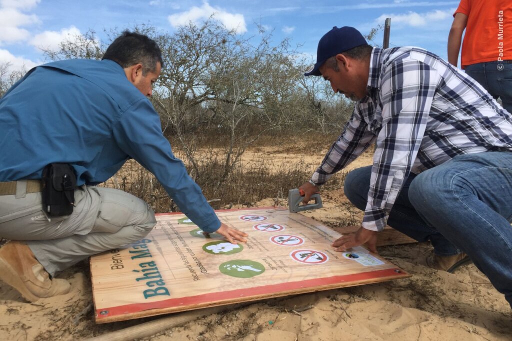 Create 50 guardians for Bahia Magdalena mangrove