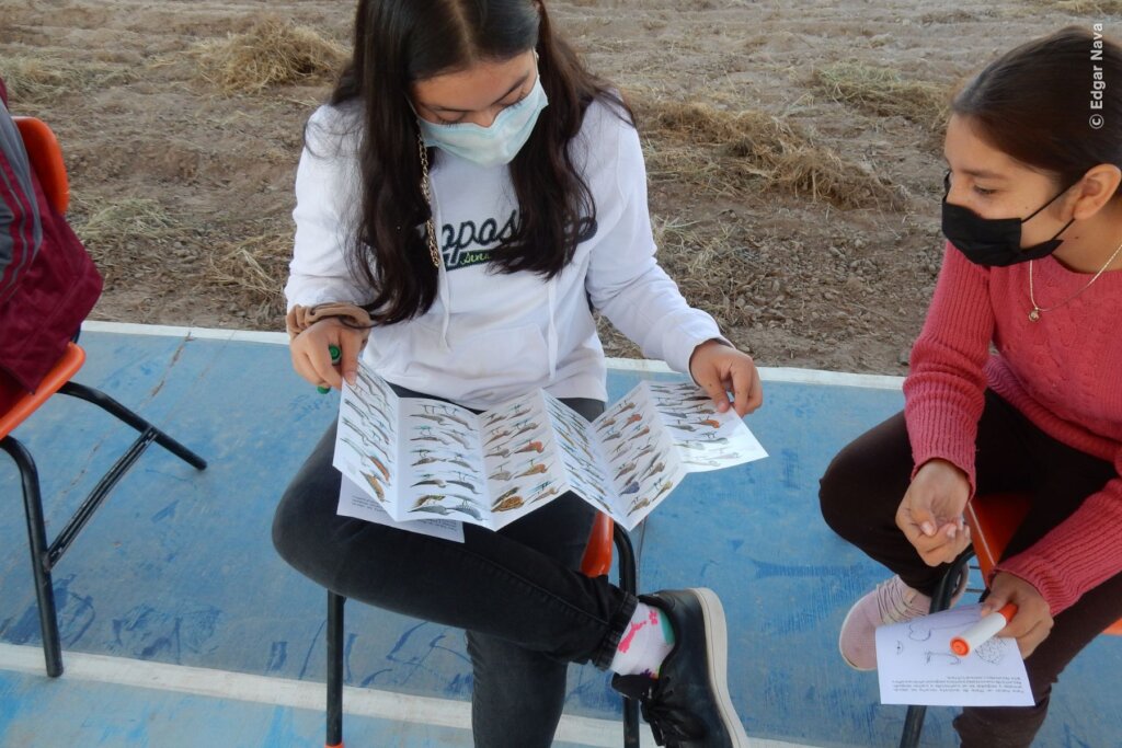 Create 50 guardians for Bahia Magdalena mangrove