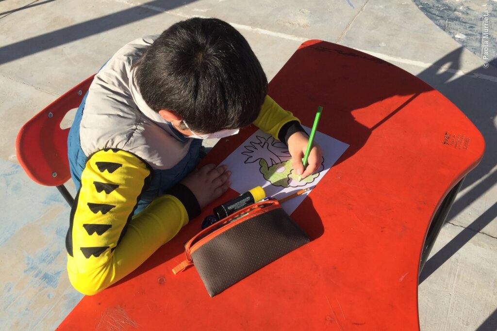 Create 50 guardians for Bahia Magdalena mangrove