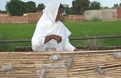 30 Women Income Generation through Micro Credit.