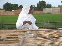 30 Women Income Generation through Micro Credit.