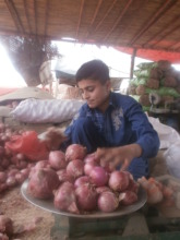 Shams at work