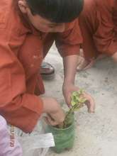 A student plants a seed to celebrate spring