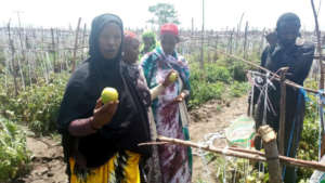 Soyama Ladies Assoc. visiting Meki Commercial Farm
