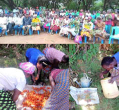 SSNK farmers groups.