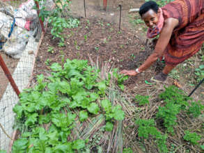 A family garden plot in Rwanda.