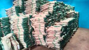 Donation of 13,000 kg of  Bean Seed