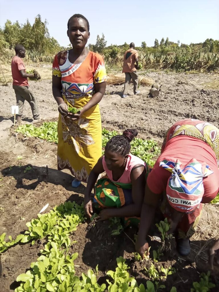 Tending the community-managed nursery