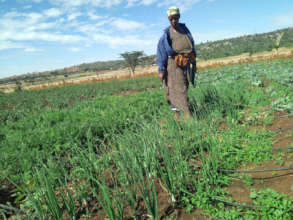 Fate monitoring the onion and carrot patch