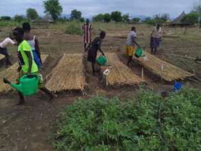 Club members in the vegetable nursery