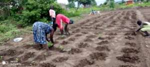 Community members planting gardens