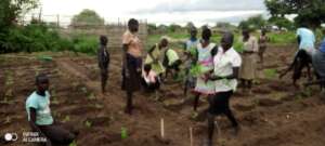 Teen mothers transplanting vegetable seedlings