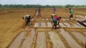 Farmers irrigating drylands