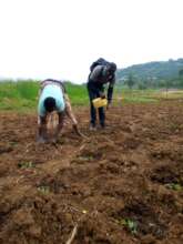 Planting season and prepping beds