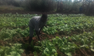 Emmanuel in his garden