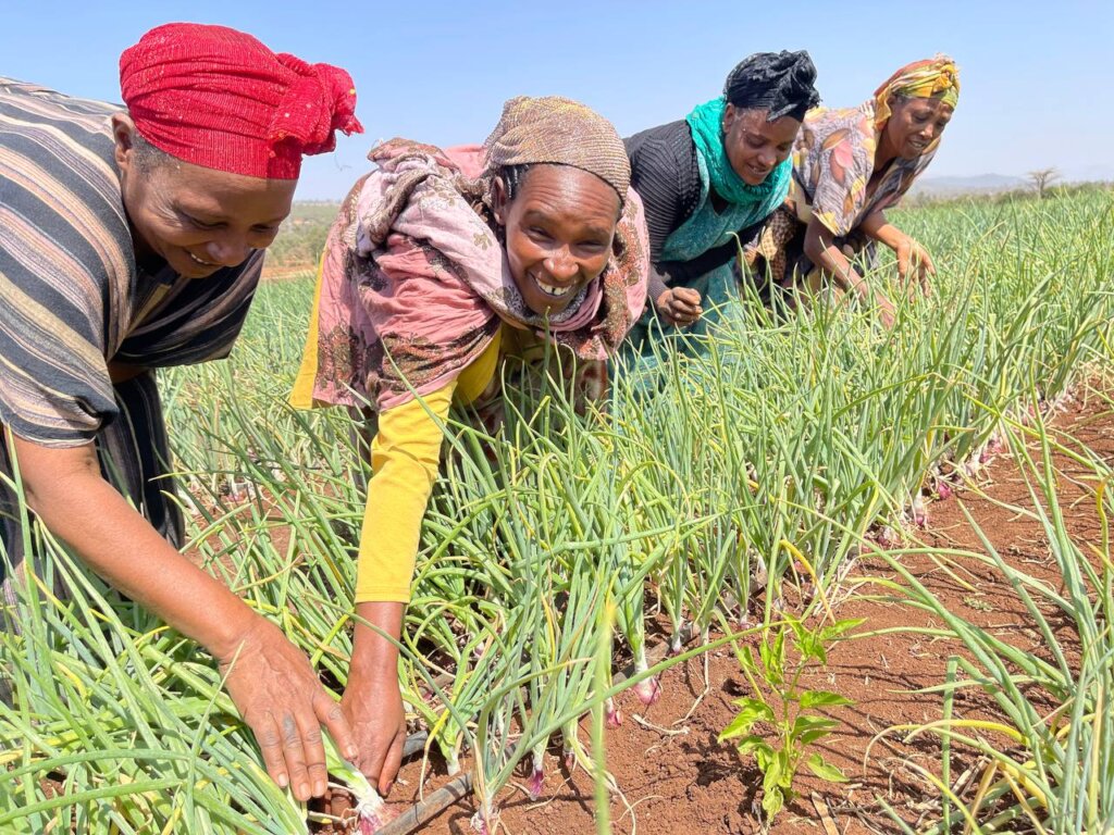 Gardens Give Hope, Health, and Income in E. Africa