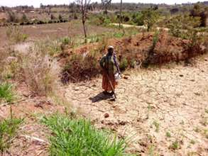 Gardener Esther in dry area.