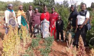 Grow East Africa, Ethiopia