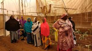 SPI Staff Naima Dido in N. Kenya with Gardeners