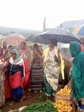 Pepper harvest in the rain