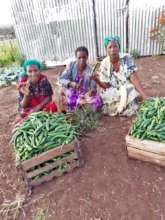 Fate (right) and group members with peppers.