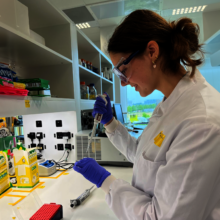 Abcam Work Experience 2024
