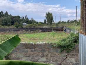 New Land